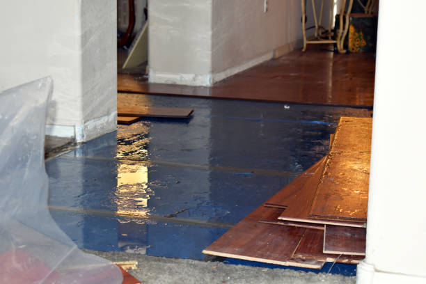 Professional Burst Pipe Cleanup technician working in Mentone, IN